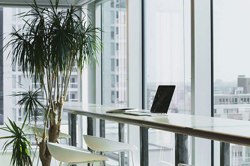 Reinigung der bodenlangen Fenster im Büro von Hausbetreuung Schlögl